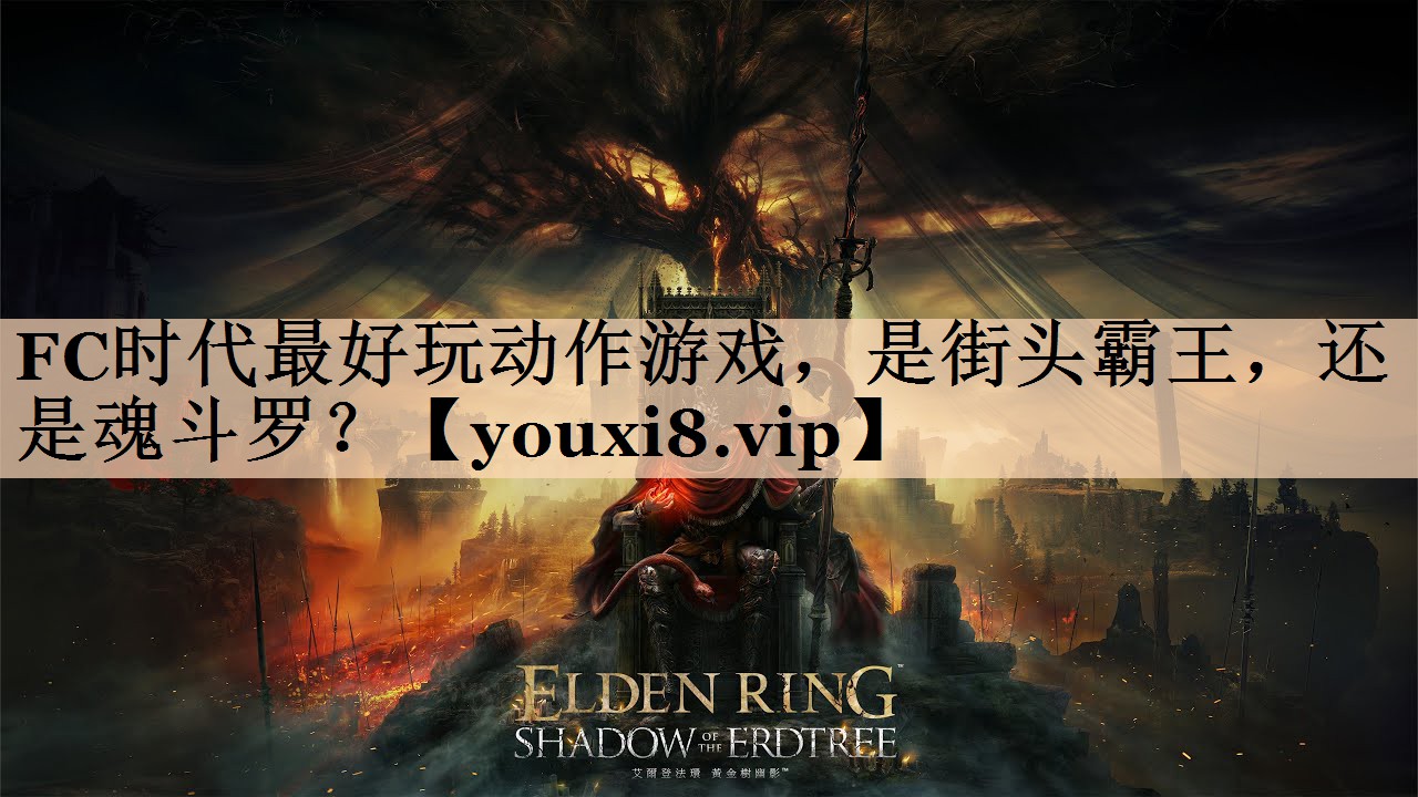 FC时代最好玩动作游戏，是街头霸王，还是魂斗罗？