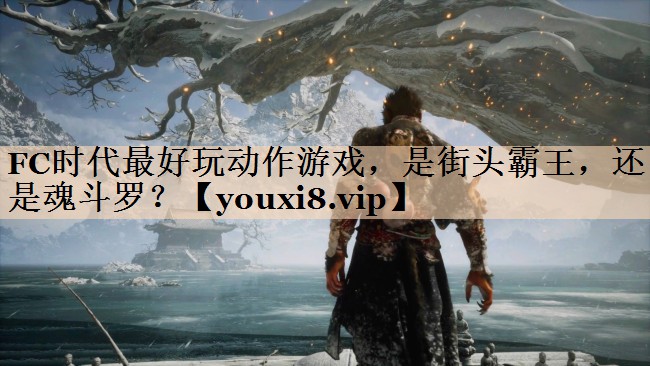 FC时代最好玩动作游戏，是街头霸王，还是魂斗罗？