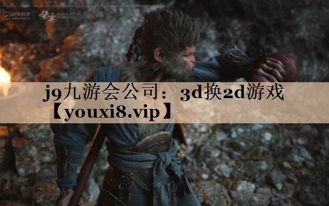 j9九游会公司：3d换2d游戏