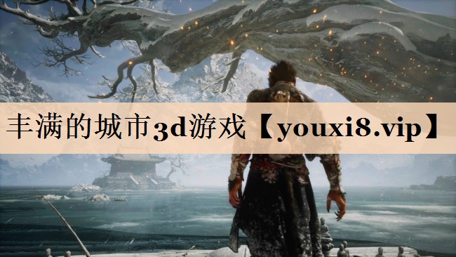 丰满的城市3d游戏