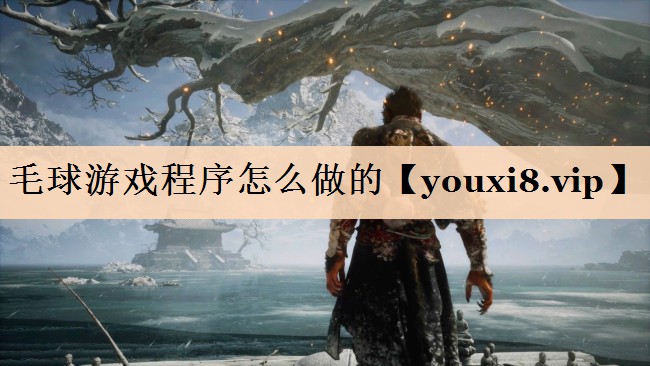 毛球游戏程序怎么做的