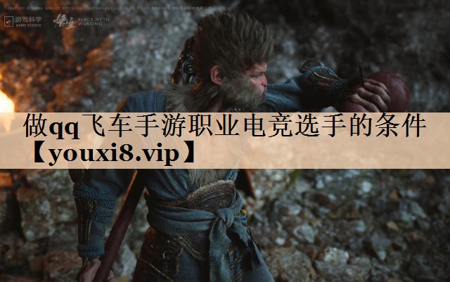 做qq飞车手游职业电竞选手的条件