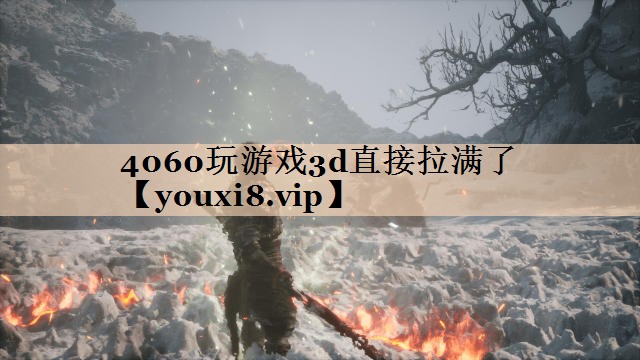 4060玩游戏3d直接拉满了
